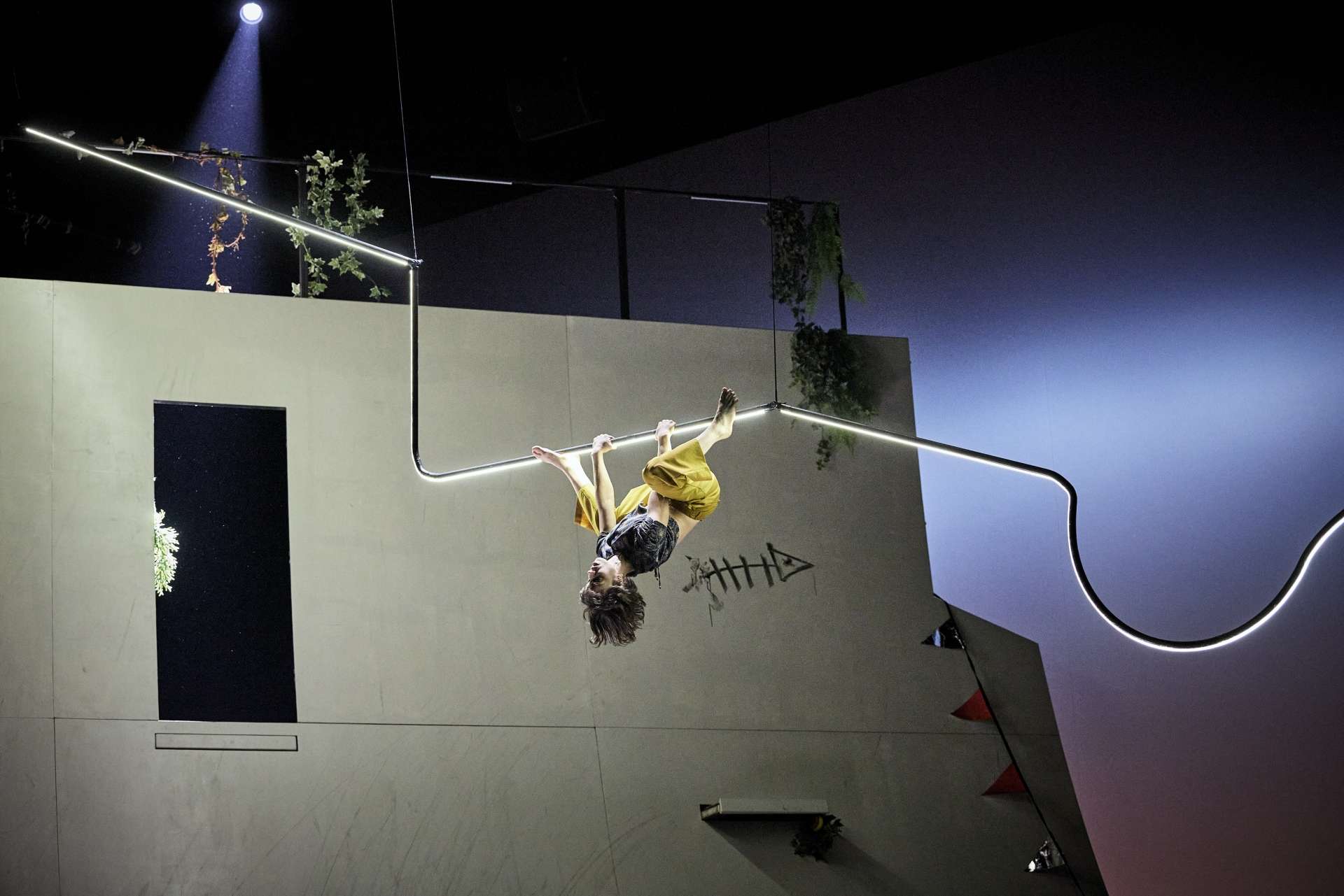 Une artiste est suspendue tête en bas à une structure tubulaire lumineuse en hauteur, accrochée par les jambes. En arrière-plan, un mur vertical et orné de quelques plantes. 