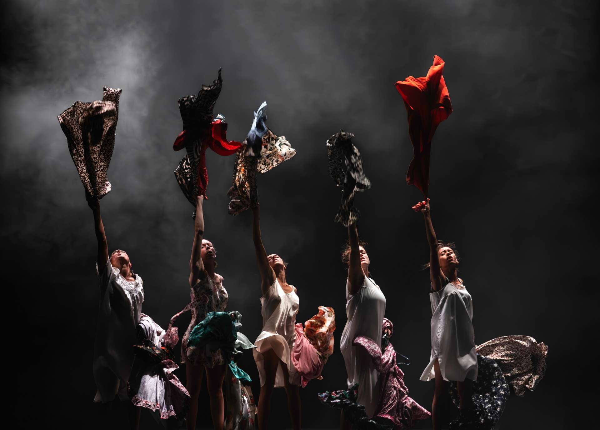 Cinque danseuses sont alignées et portent des robes à motifs différents. Elles tiennent dans leurs mains des robes qu'elles jettent dans les airs. L’éclairage est sombre, avec un fond principalement noir, mis en valeur par une fumée ou une brume légère
