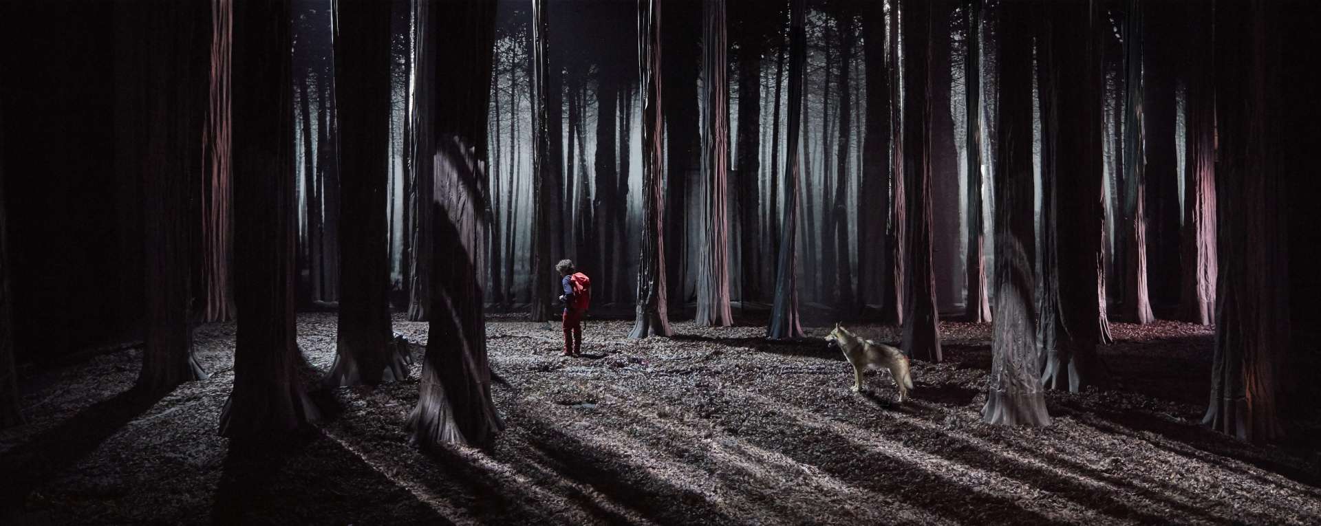 Un petit personnage et un loup sont au cœur d'une forêt. Ambiance sombre. 