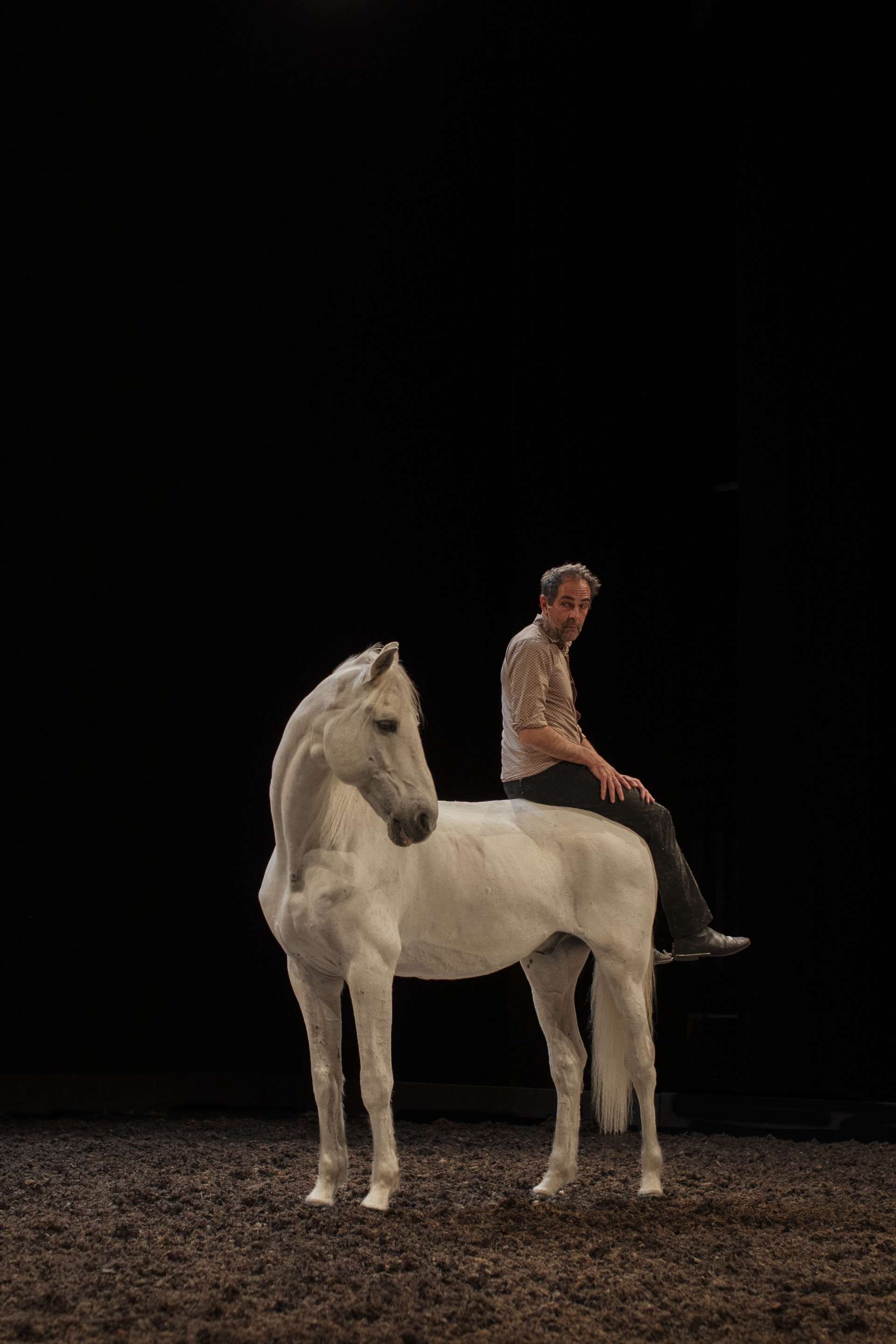 Le comédien Bertrand Bossard et Akira, son cheval